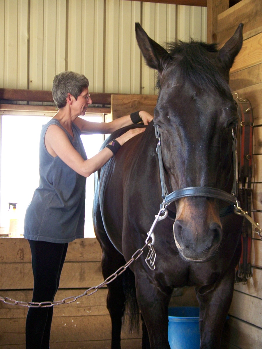 Equine Massage Therapy Sky and the Animals