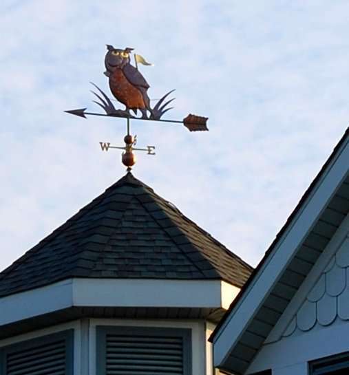 Golf Course Owl Weathervane SkyArt Studio & Gallery