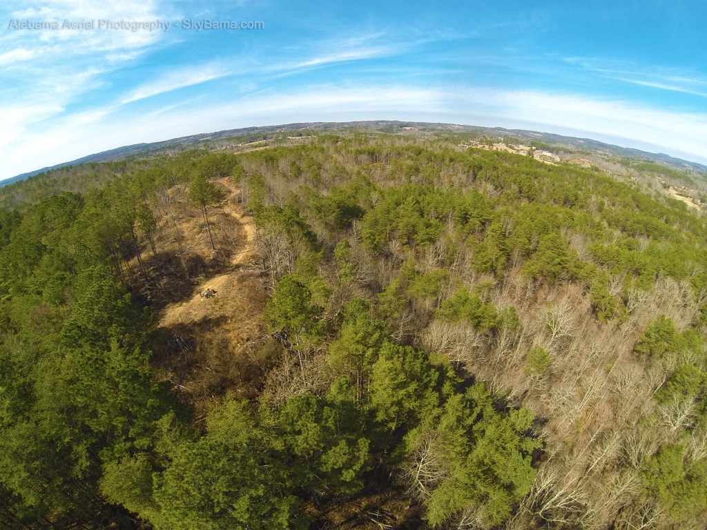 4 wheeler trail riding in Hayden, AL Alabama Aerial Photos