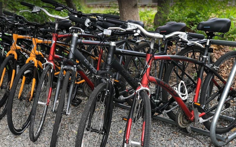 5 Places in Falmouth, MA for Bike Rentals Sky Bike