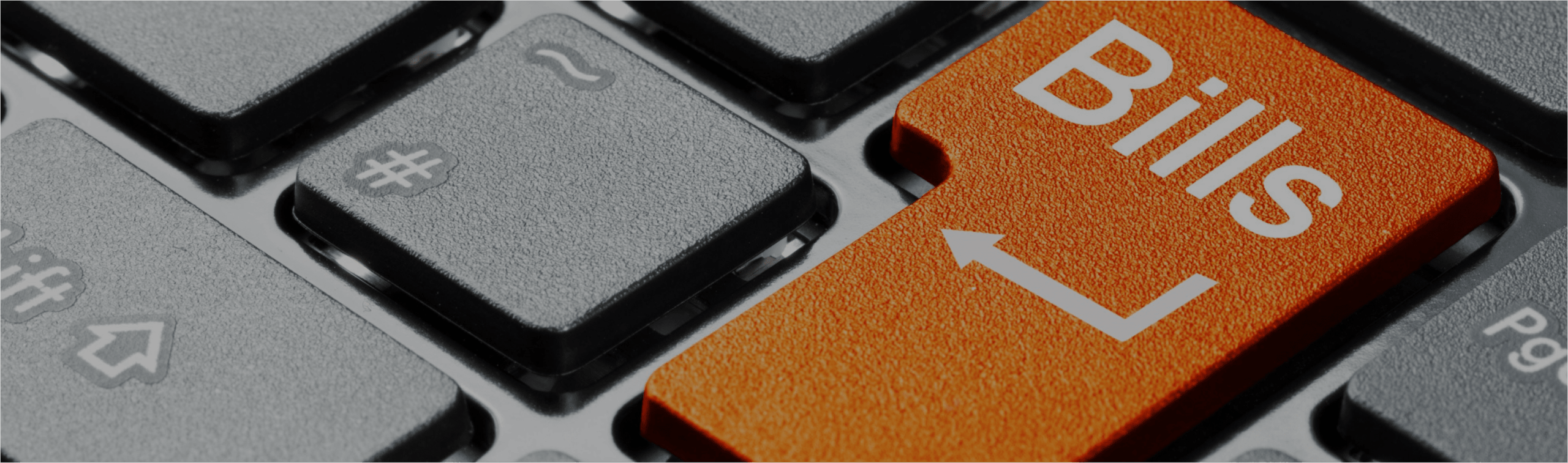 Skybill Utility Billing in the Cloud