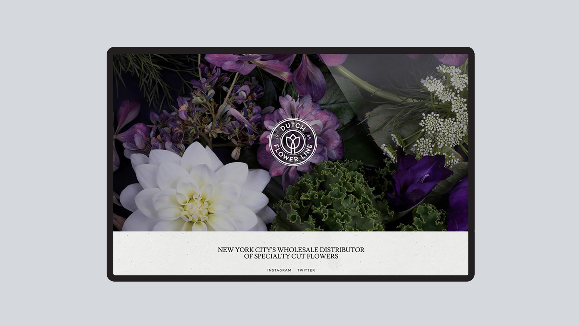 Dutch Flower Line Brand Identity + site