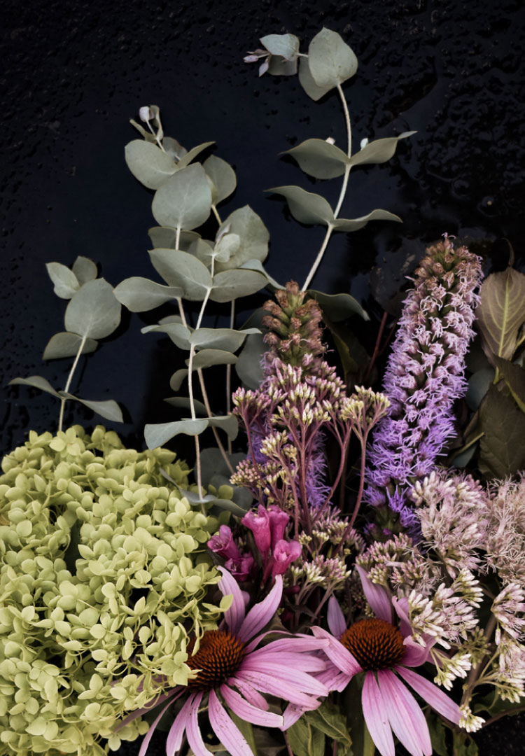 Dutch Flower Line Brand Identity + site