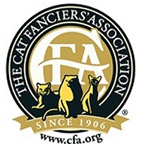 Skyfall Cats cfa