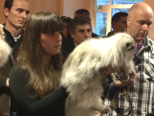 National Winner 2012