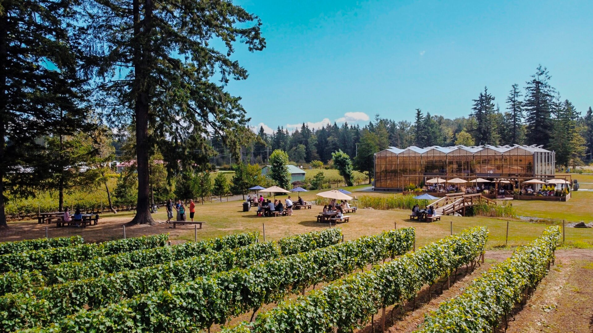 Luxury Fraser Valley Estate Winery Experience Heli Tours Sky