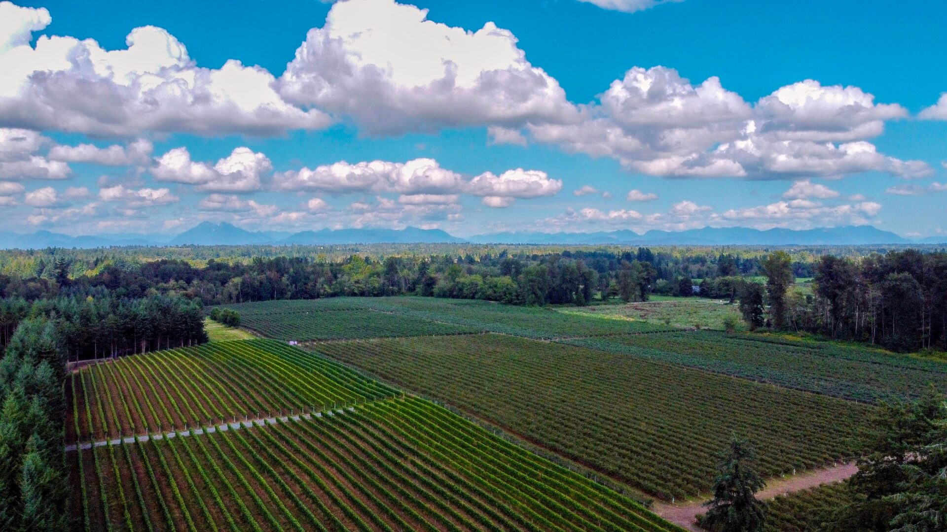Luxury Fraser Valley Estate Winery Experience Heli Tours Sky