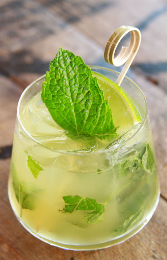 High Spirits 20 Inspirational Cocktail Photos