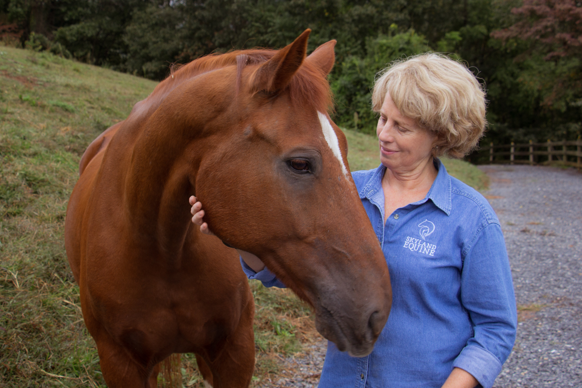 Equine NC Summer Camp & Retreats