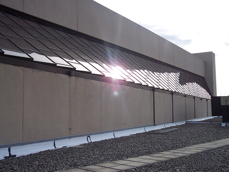 Photos Skylight Doctors