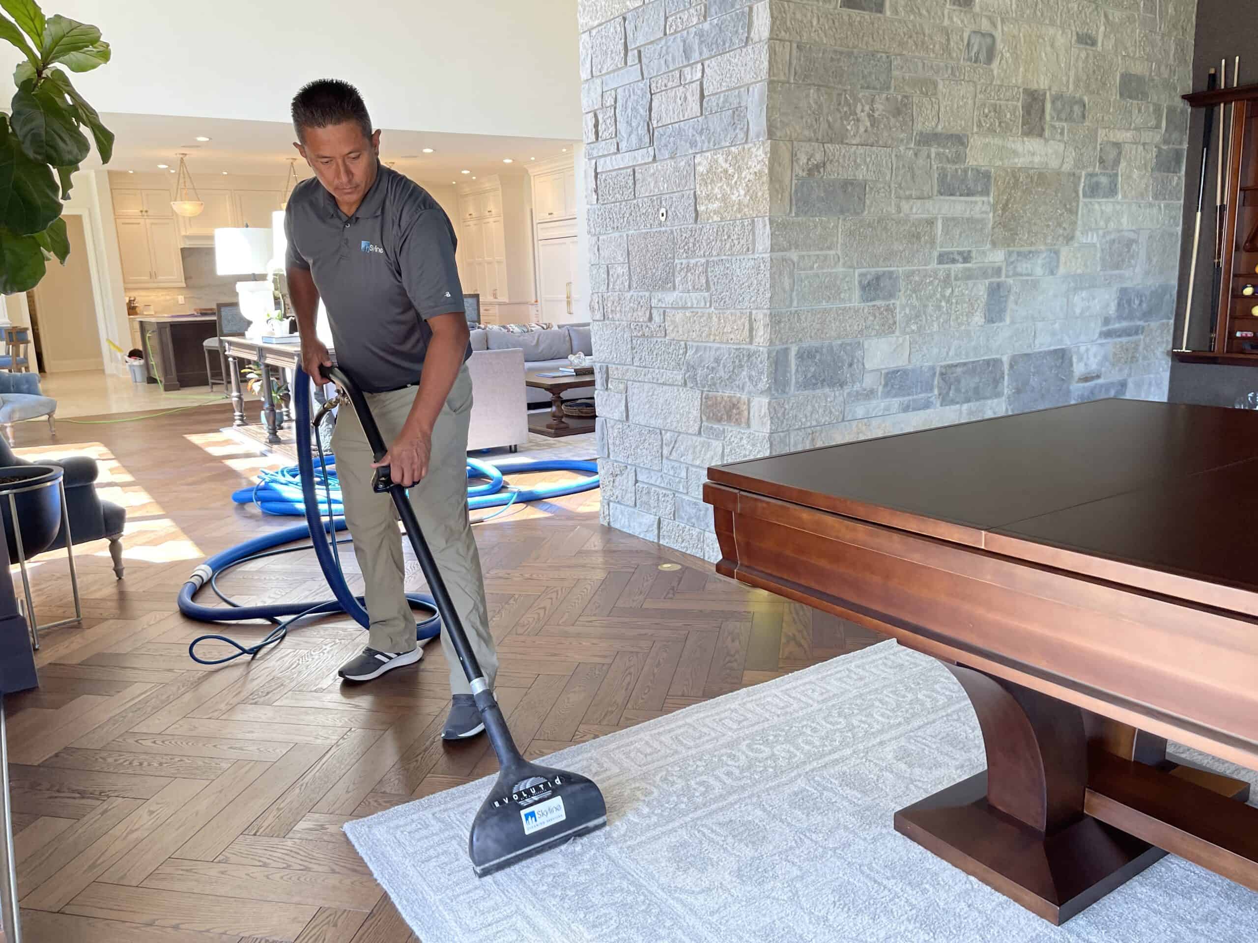 Residential Carpet Cleaning, Madison, WI Skyline Services, Inc.