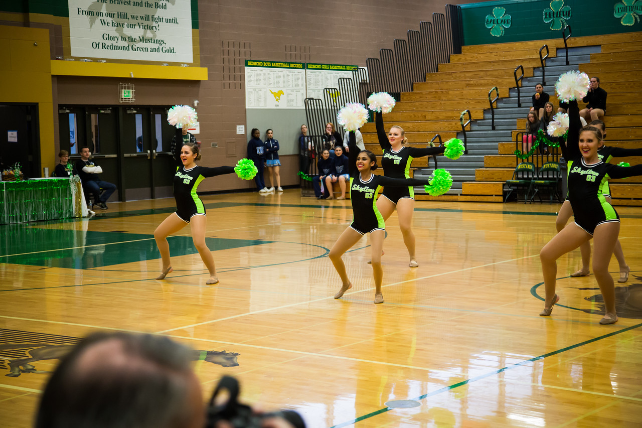 Legacy Skyline Dance Team