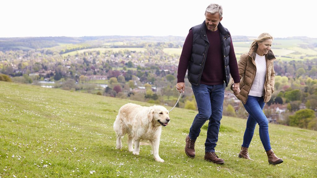 Skyline Reliance Banking