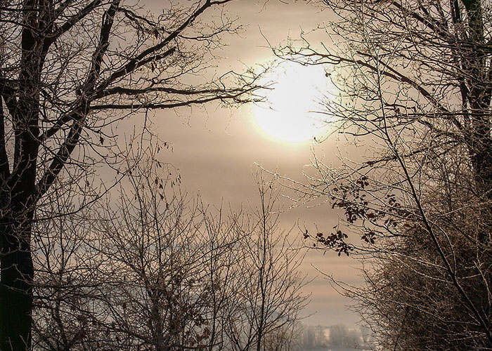 Solstice 2023 Winter