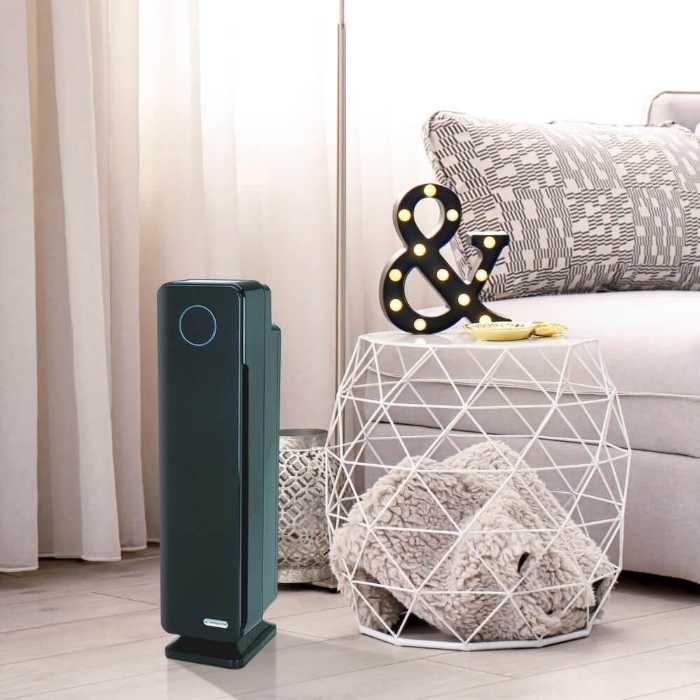 How Long to Run Your Air Purifier When and How Often to Clean the Air