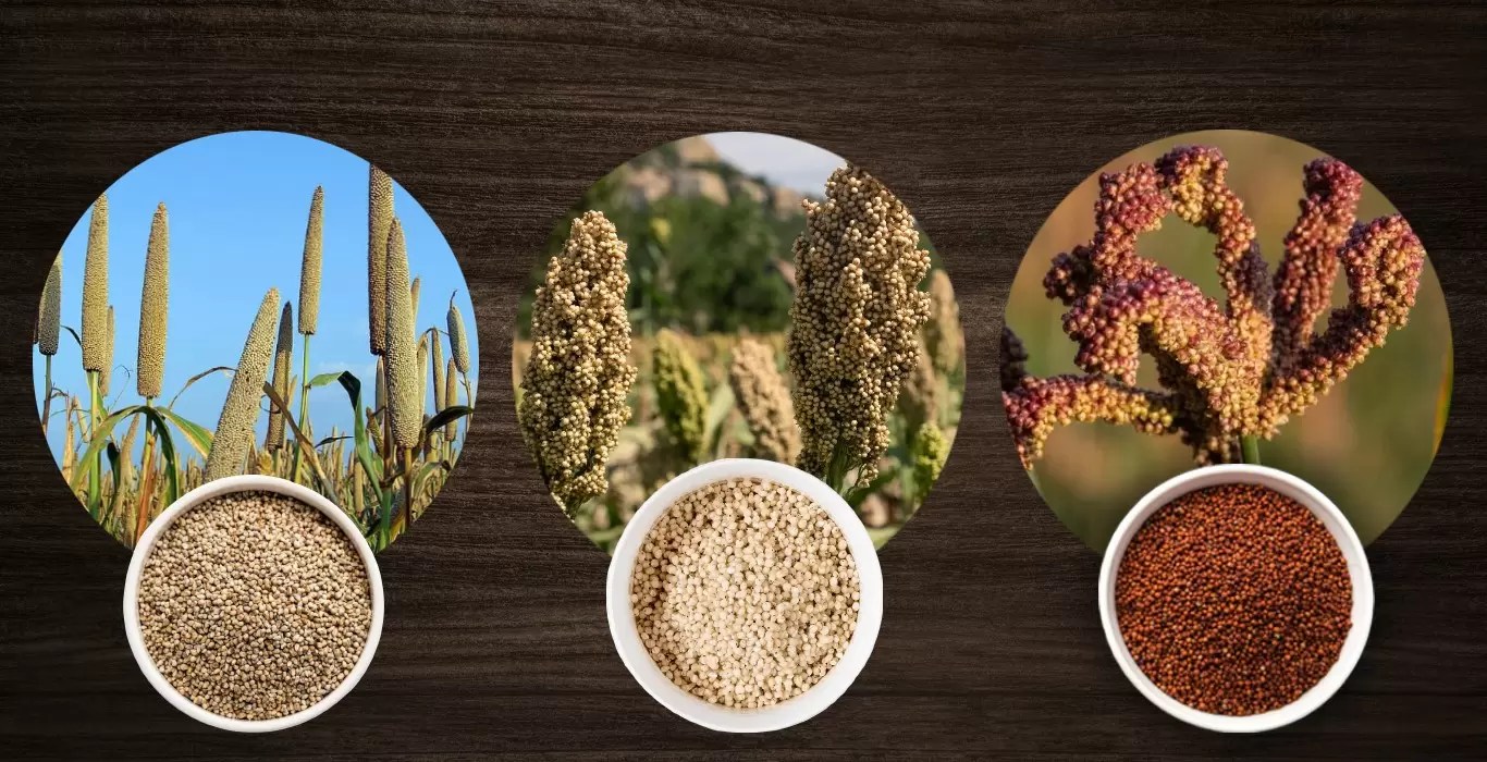 How is India celebrating the Millet Year 2023? SkyRoots