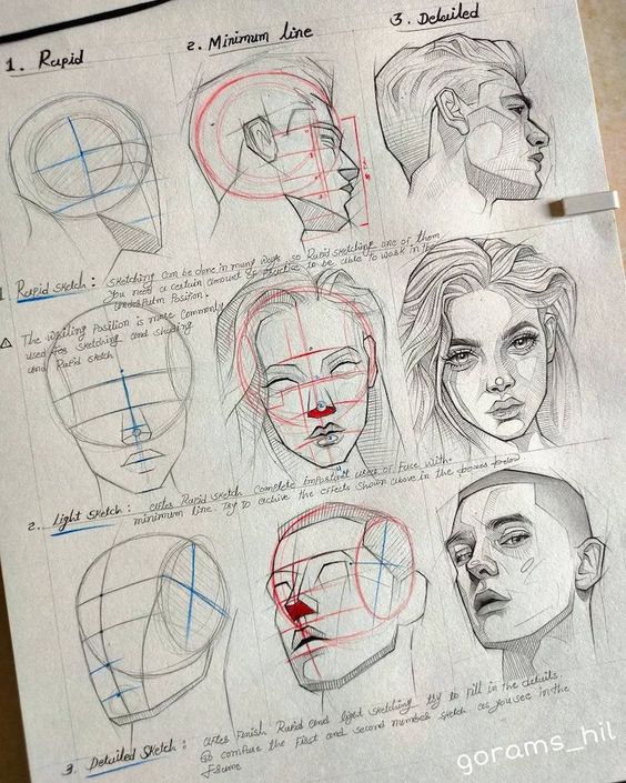 Anatomy Drawing Reference Tips and Techniques for Depiction