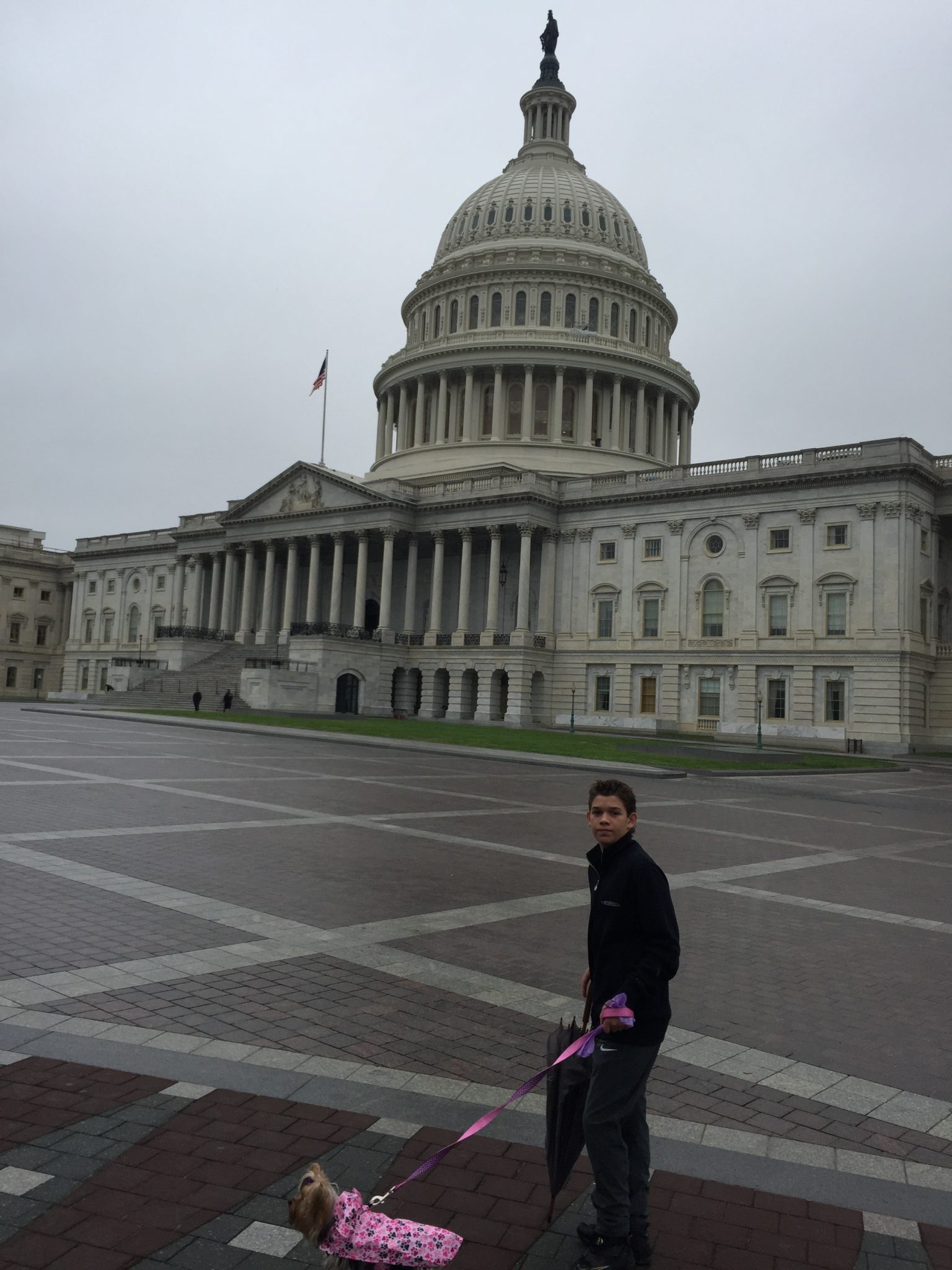 DC is Dog Friendly A Kid's Blog on Luxury Cars