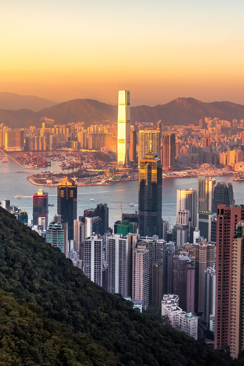Hong Kong New York Skyscrapers in the Global City The Skyscraper