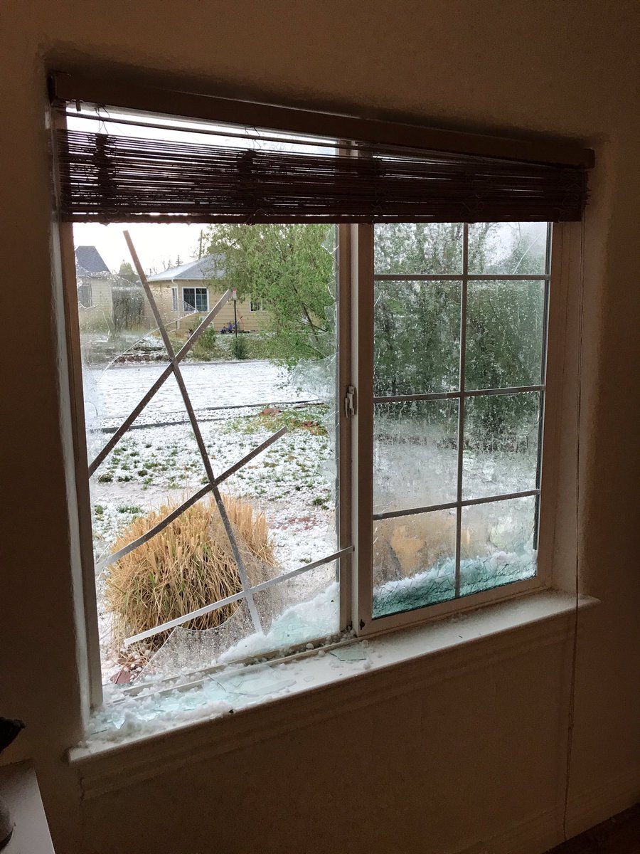 hail 6 Skylight Specialists, Inc