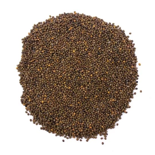 Organic Rocket Microgreen Seeds SkySprouts