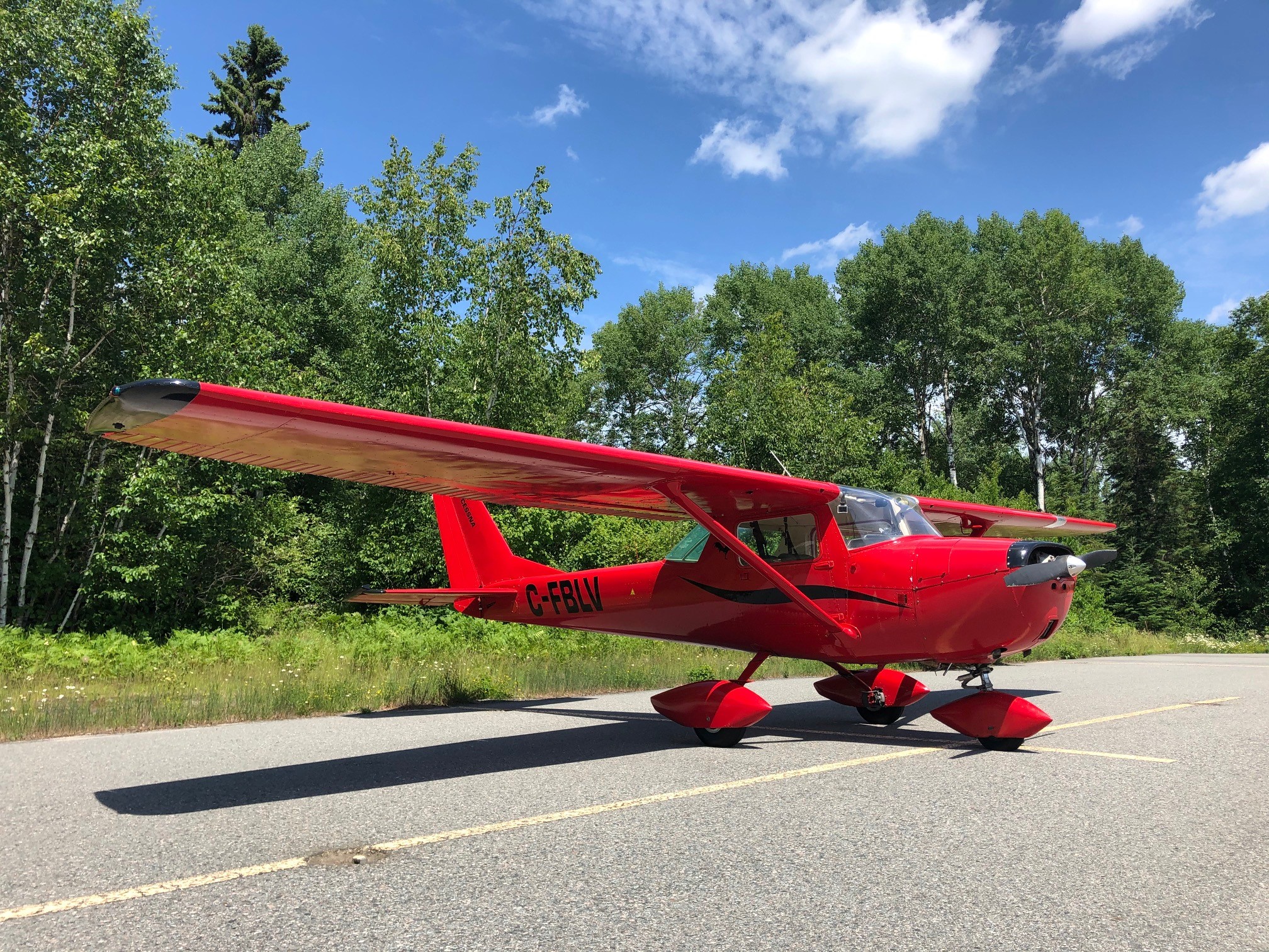 Nestor Falls SkyVector