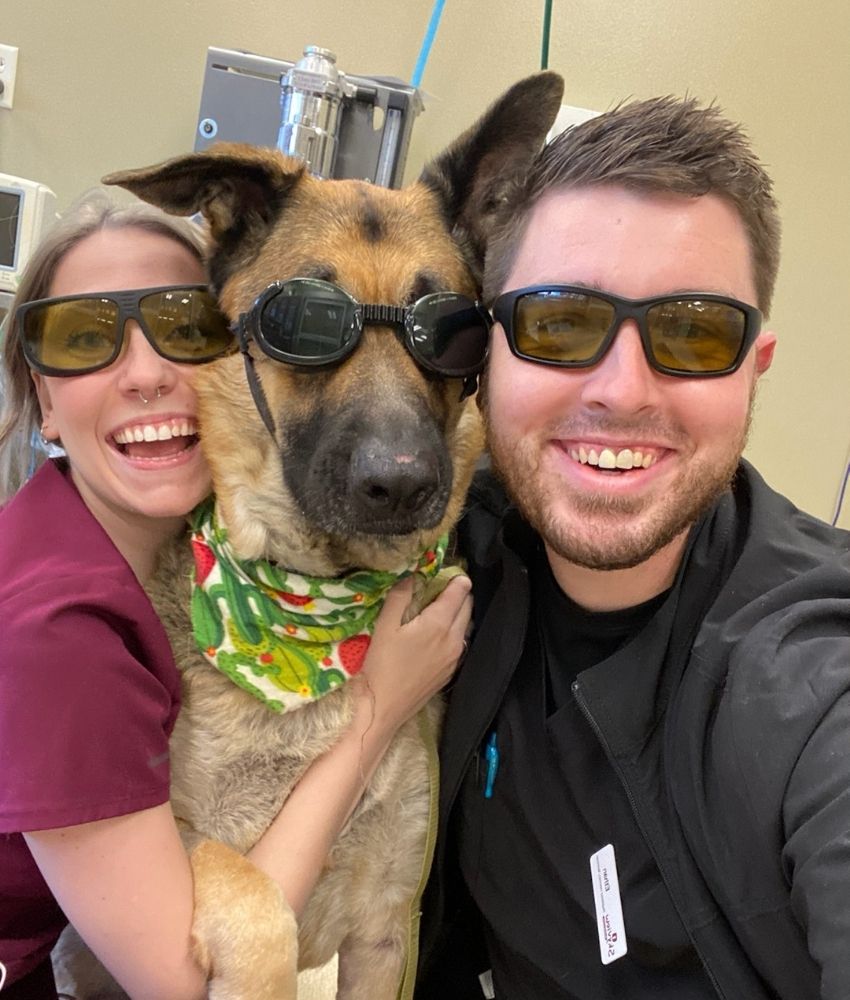 Pet Laser Therapy Cape Girardeau, MO 63701 Skyview Animal Clinic