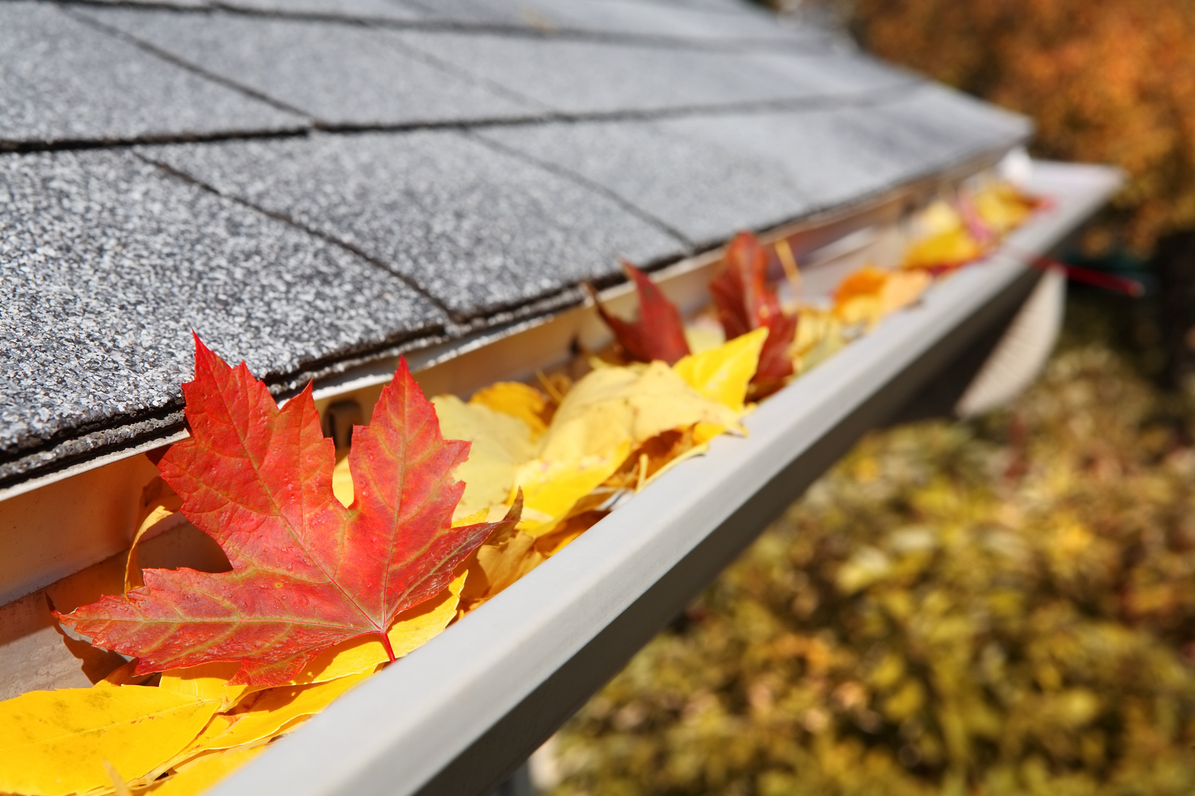 Importance of Eaves Cleaning Skyview Enterprises Inc.