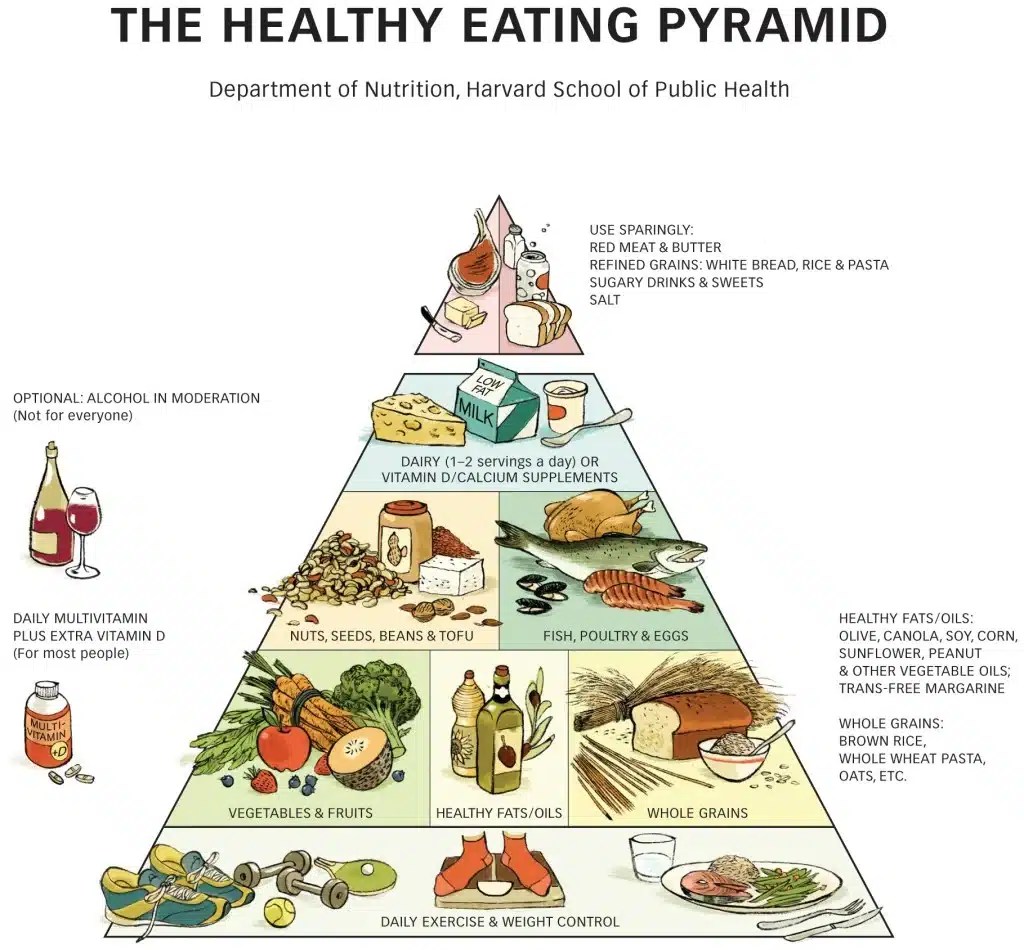 The New Food Pyramid 2023 Explained — With 2024 Updates