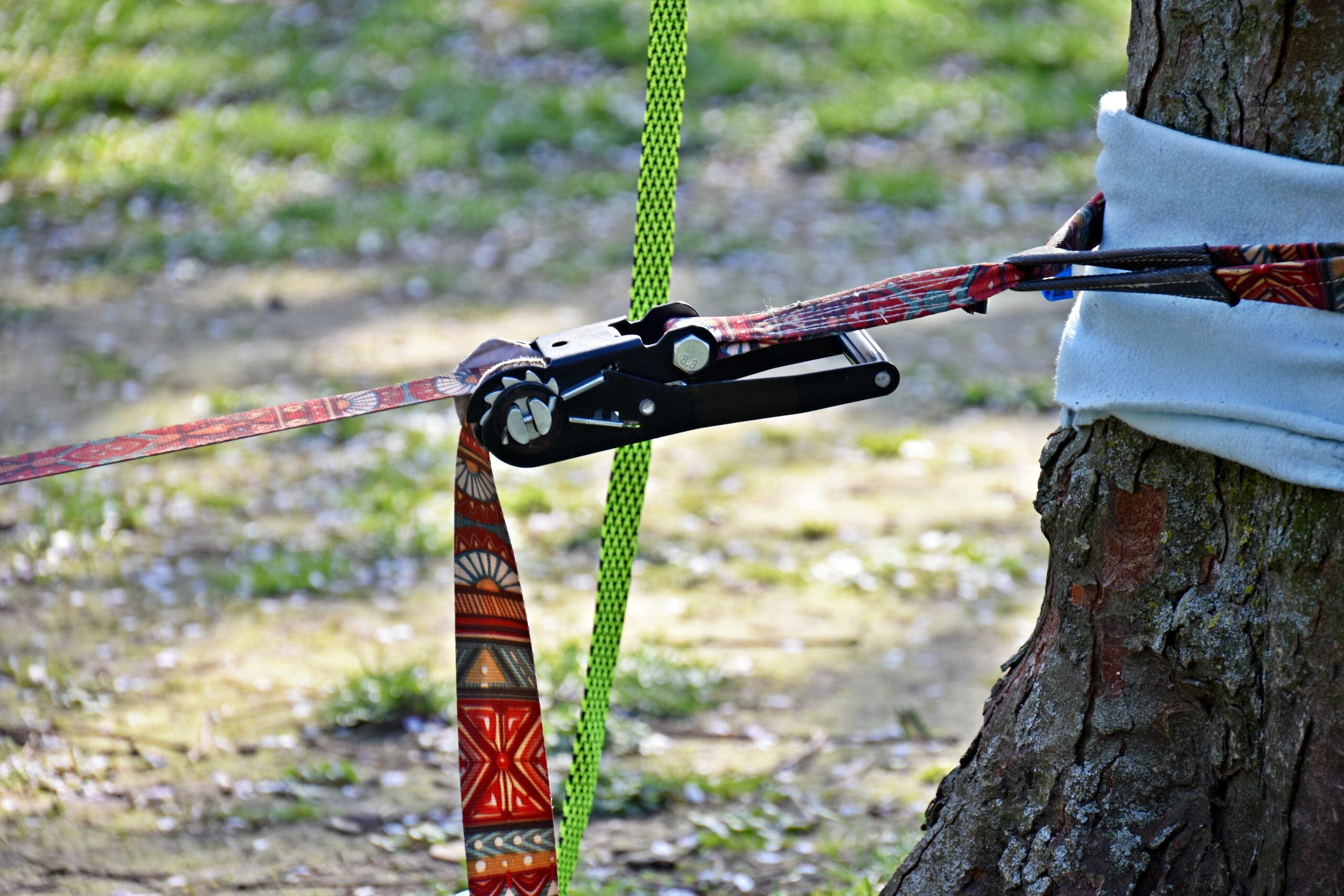 Does Slacklining Damage Trees? Slacklining Tips