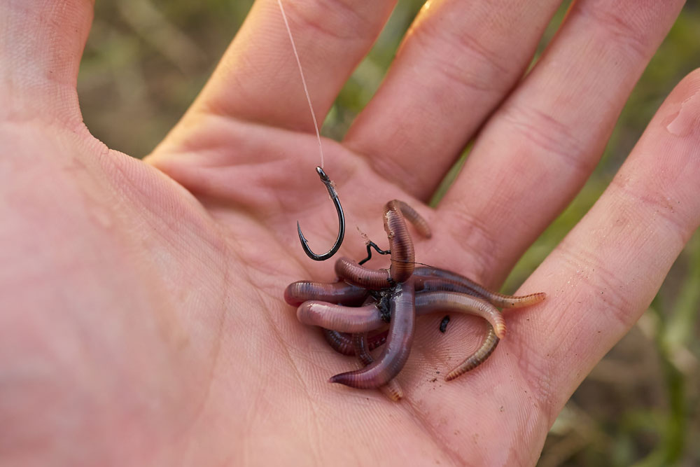 Fishery in Bogalusa, LA Slade's Fish Hatchery