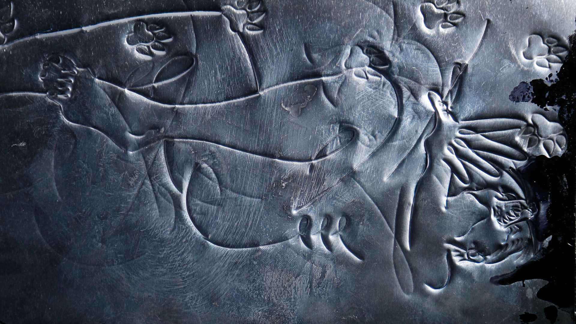 Silver Cave Slamdance