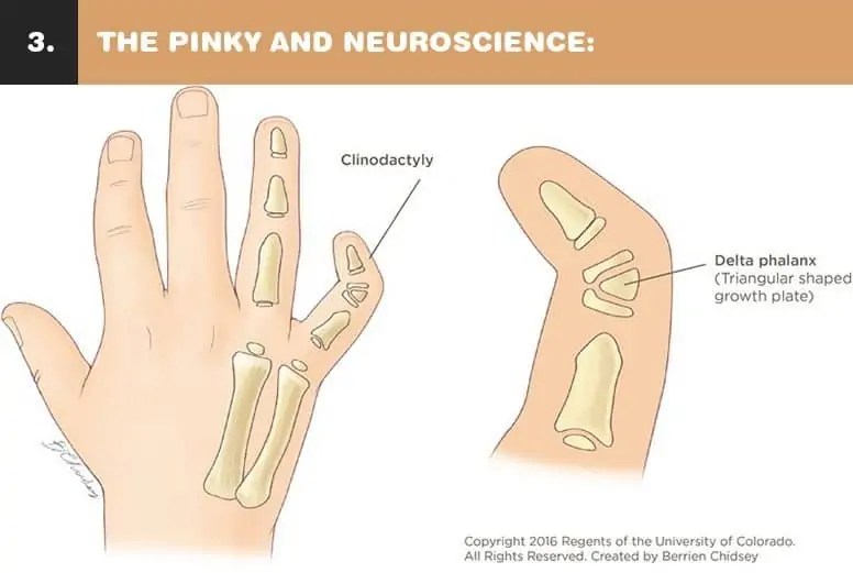 9 Facts About Your Pinky Finger