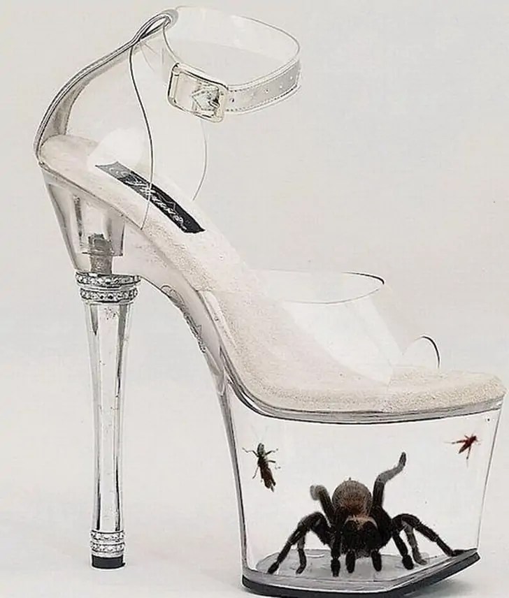 22 weirdest and crazy shoes you must see to believe