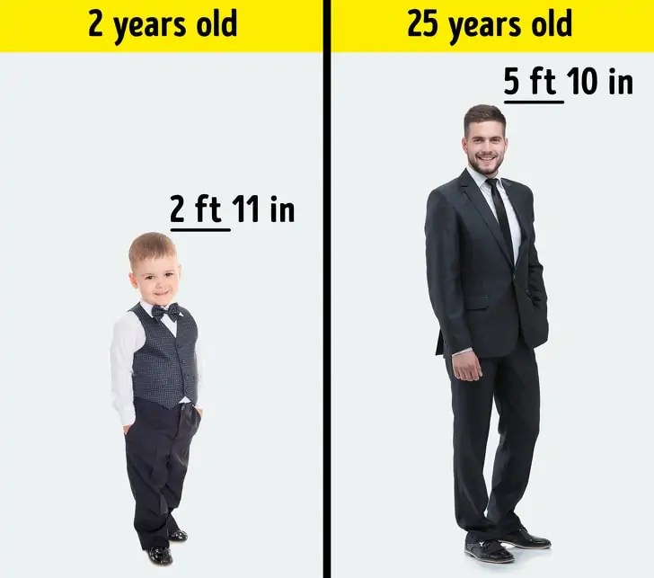 Genes come from mother and which from father