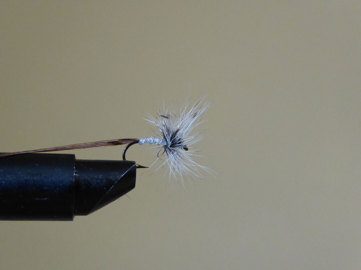 Mayfly Spent Fishing Shop Ireland Fly Fishing Fishing Tackle