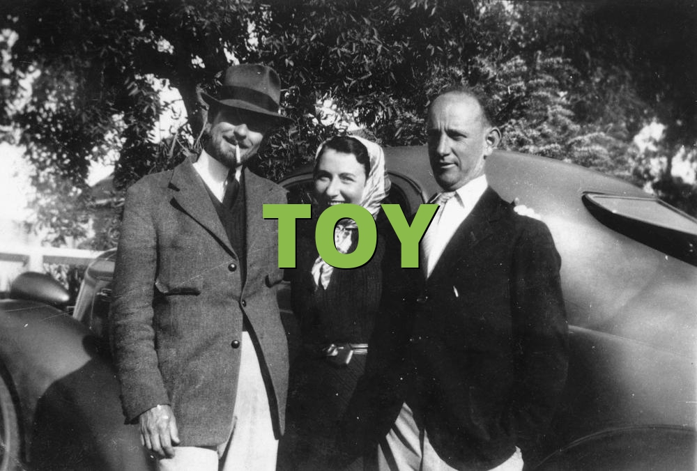 TOY » What does TOY mean? »