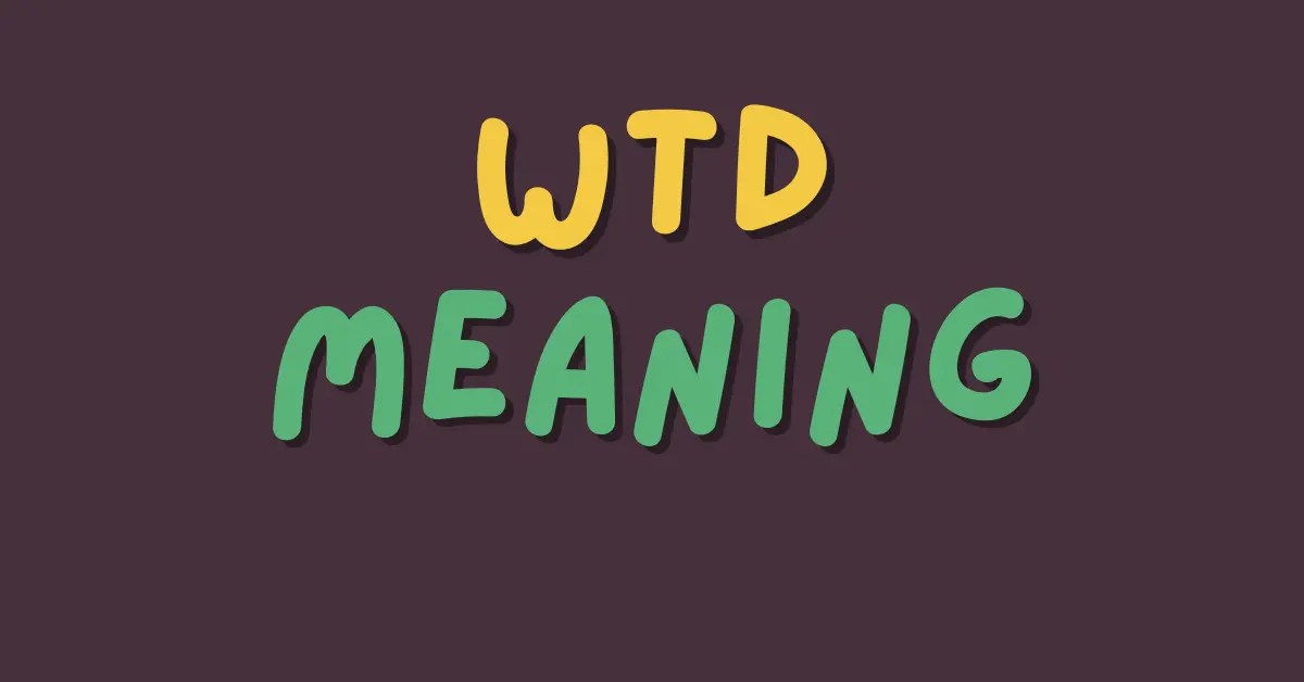 WTD Meaning A Deep Dive Into Texting And Chat Slang