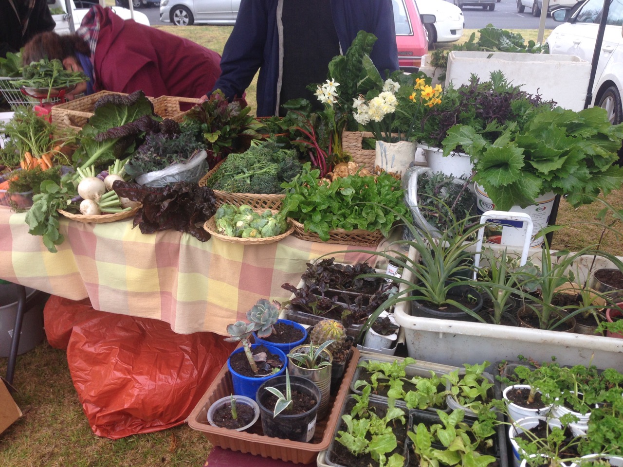 Armidale Farmers’ Market « Sustainable Living Armidale