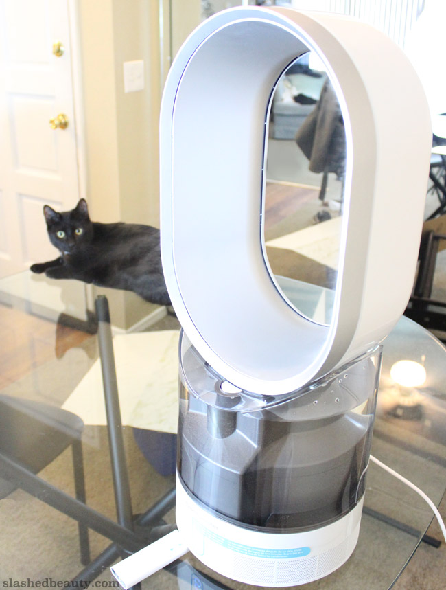 Using a Humidifer for Healthy Hair & Skin Slashed Beauty