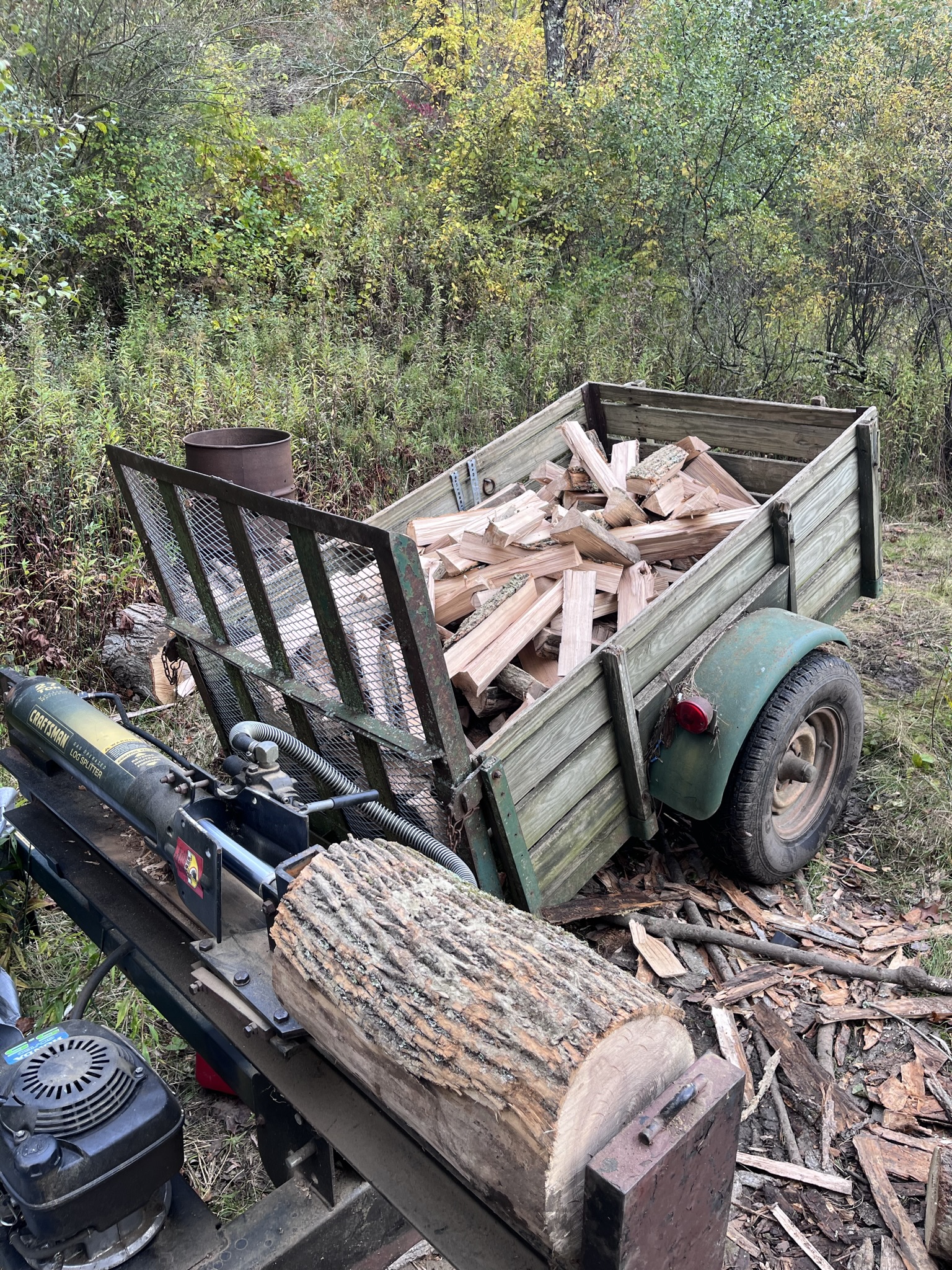 KilnDried Firewood Cord Slate Ridge Farm