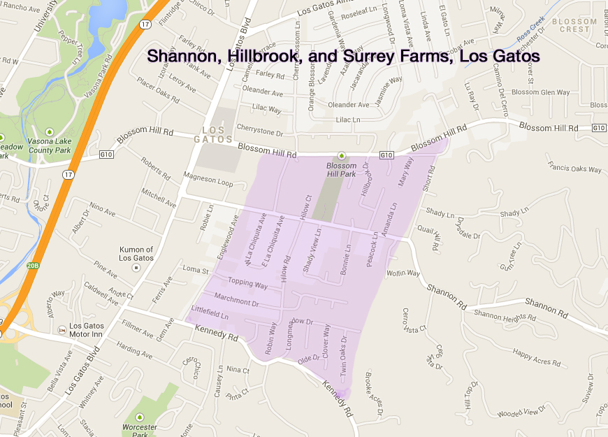 Los Gatos Homes For Sale Shannon, Hillbrook, and Surrey Farms Slater Thomson Team Intero