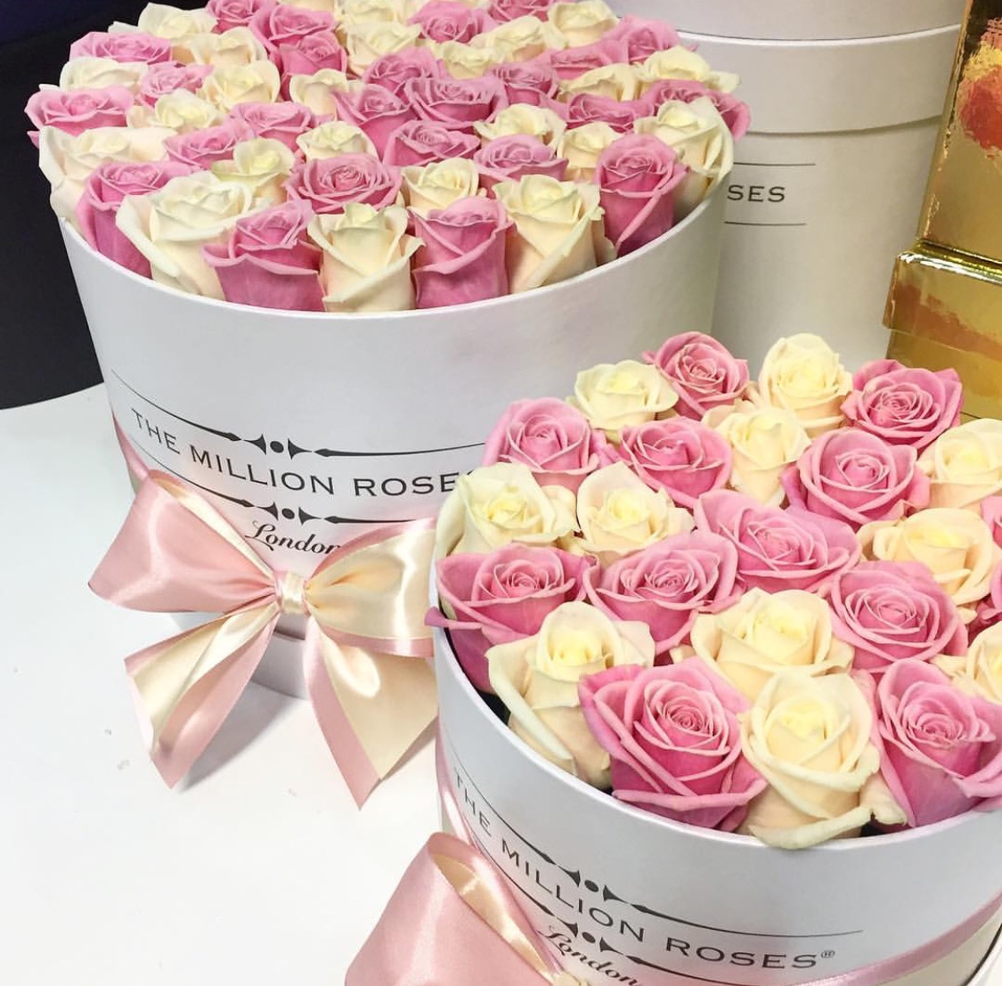 The Million Roses Slaylebrity