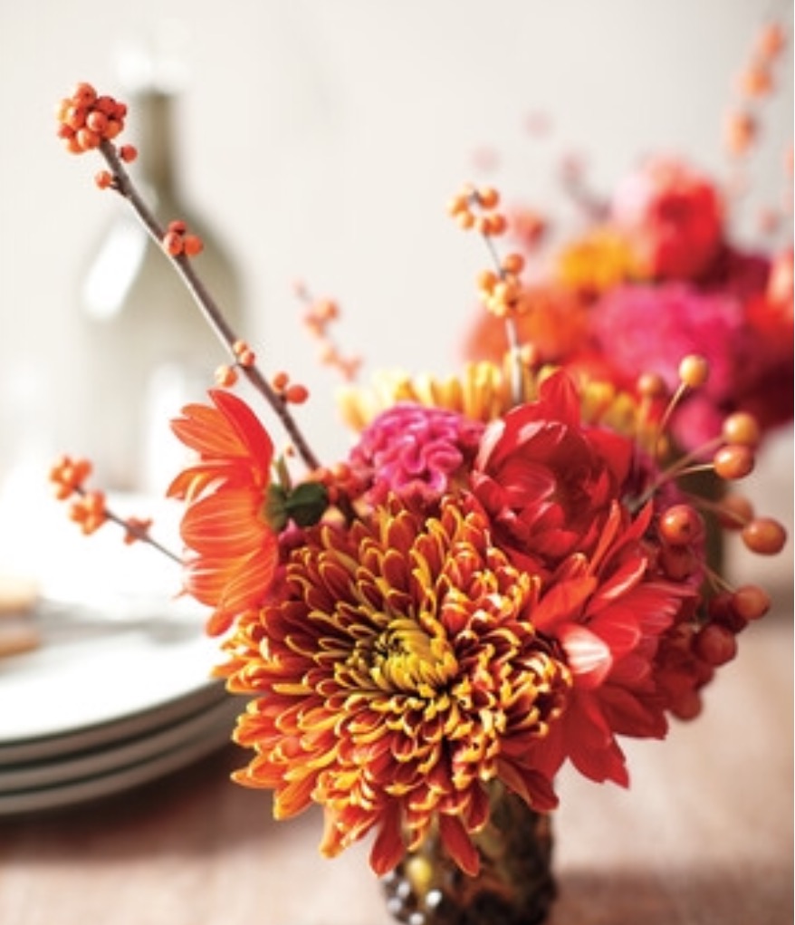 Dahlias and mums Slaylebrity