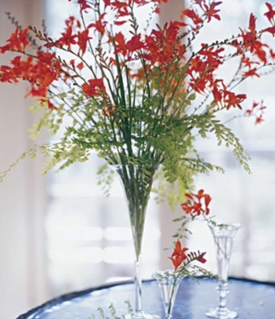 Crocosmia Arrangement Slaylebrity