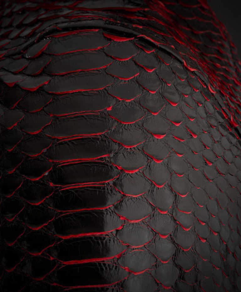 Most luxurious leather jackets Slaylebrity