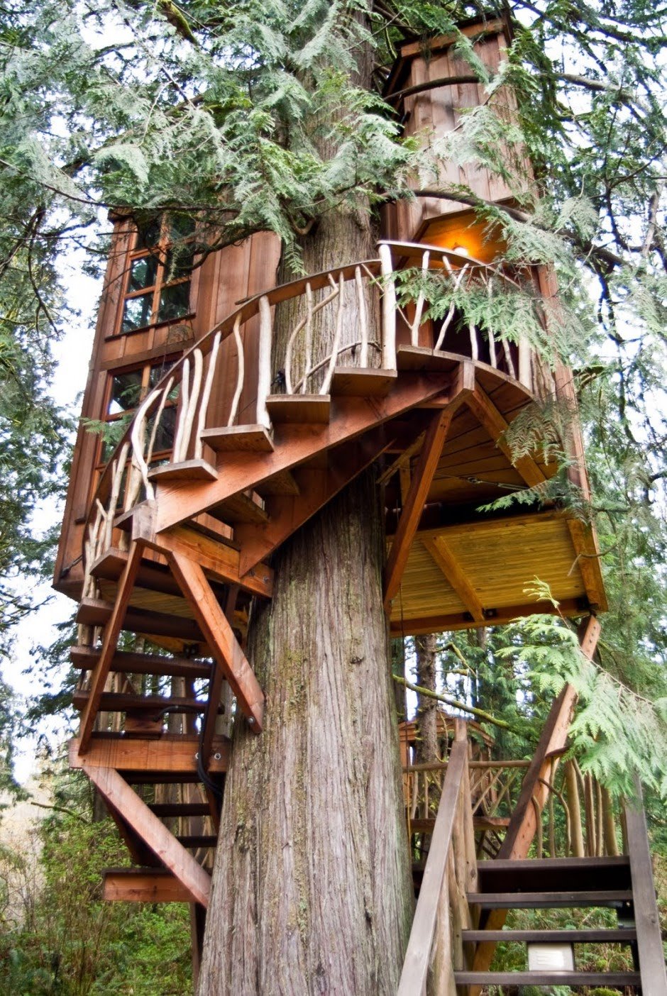 The worlds best Tree Houses Architecture Slaylebrity