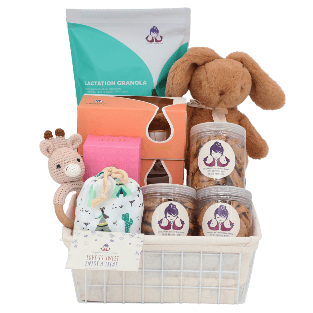 Complete New Mom Gift Hamper Singapore Lactation Bakes (SLB)