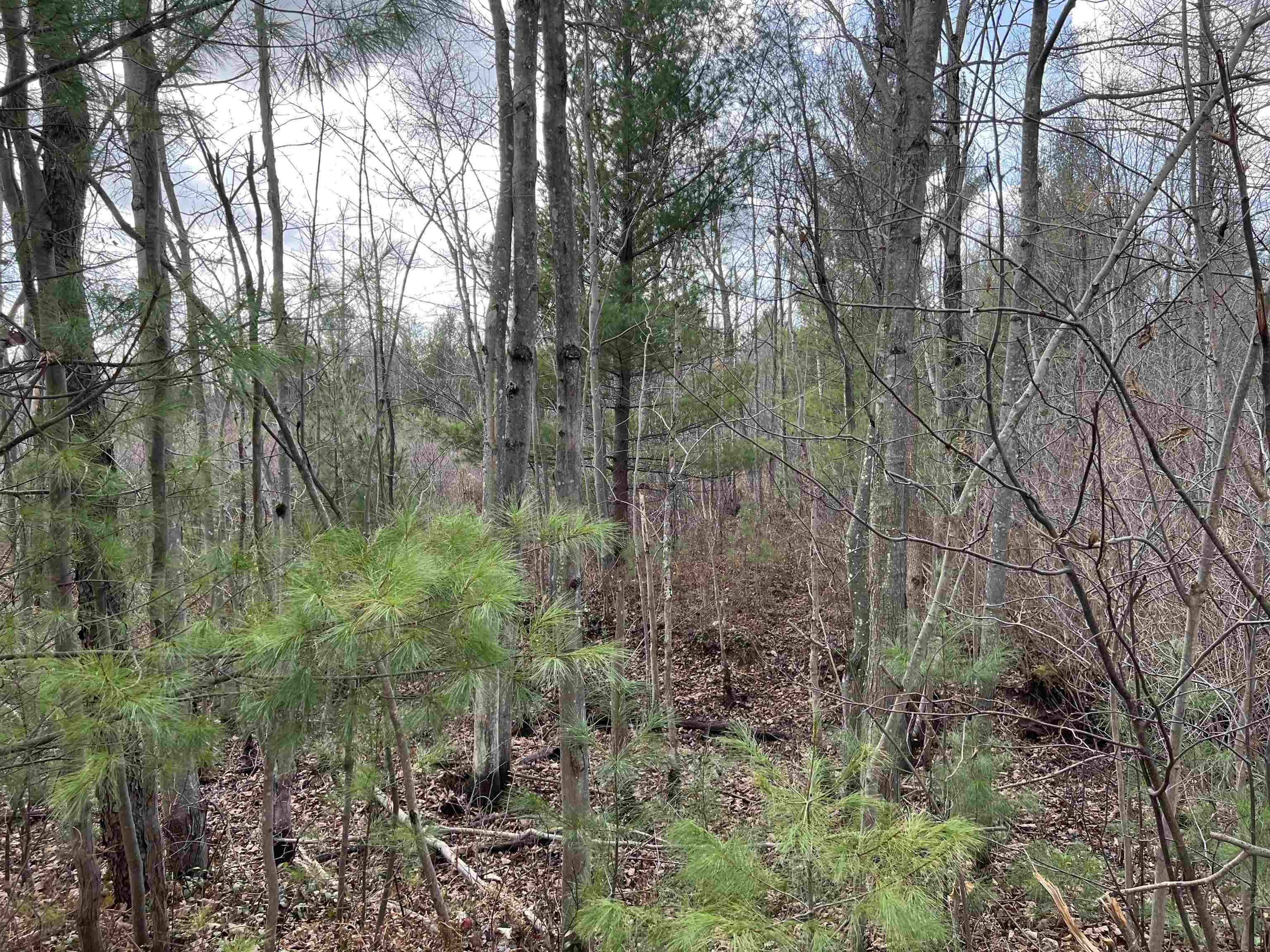 St Lawrence County Board of REALTORS® Search Results