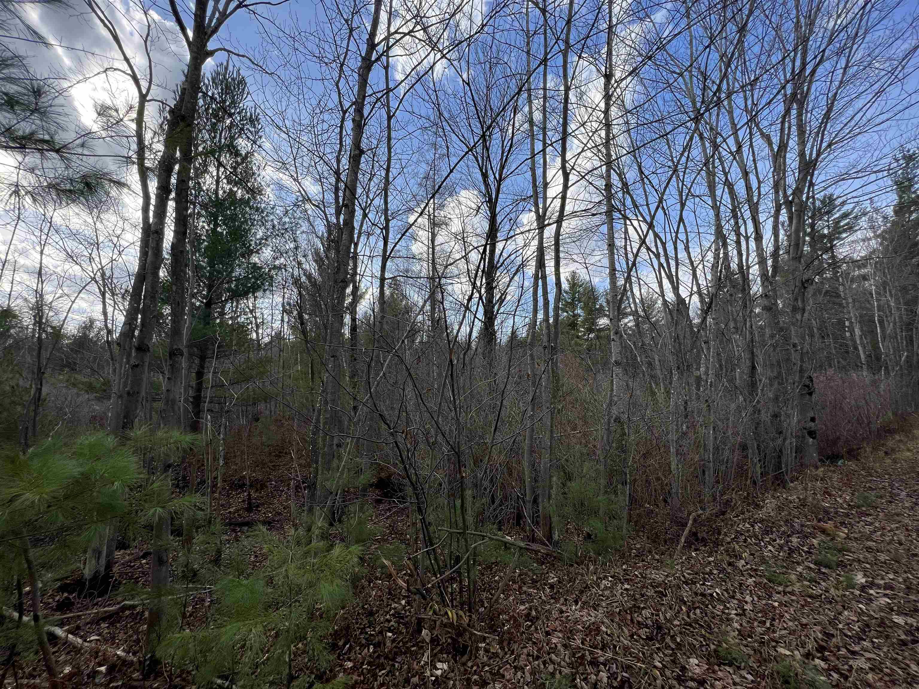 St Lawrence County Board of REALTORS® Search Results